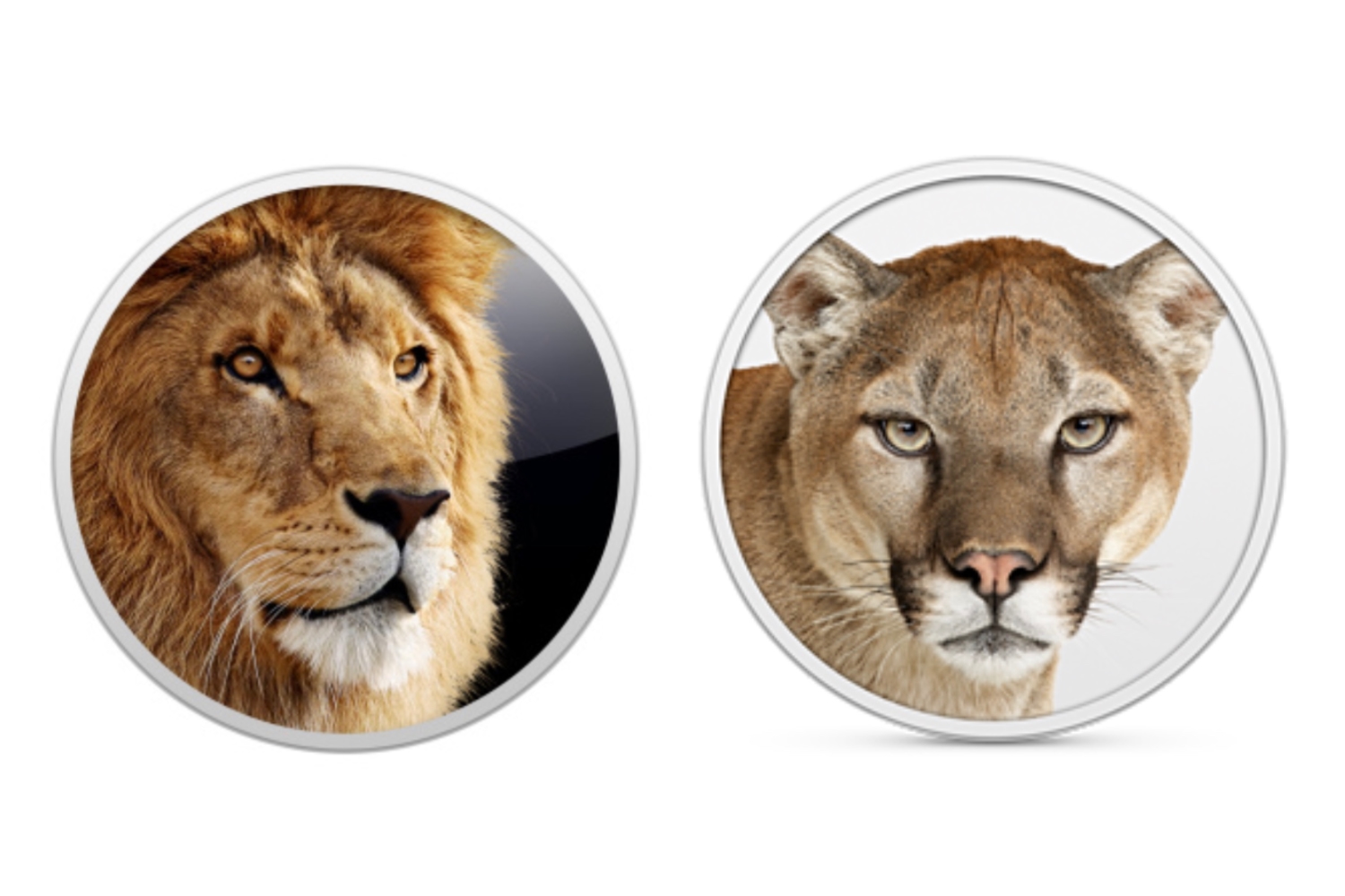 download code for mac os x mountain lion